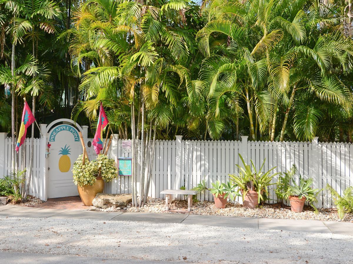 Pineapple Point & - Gay Men's Resort